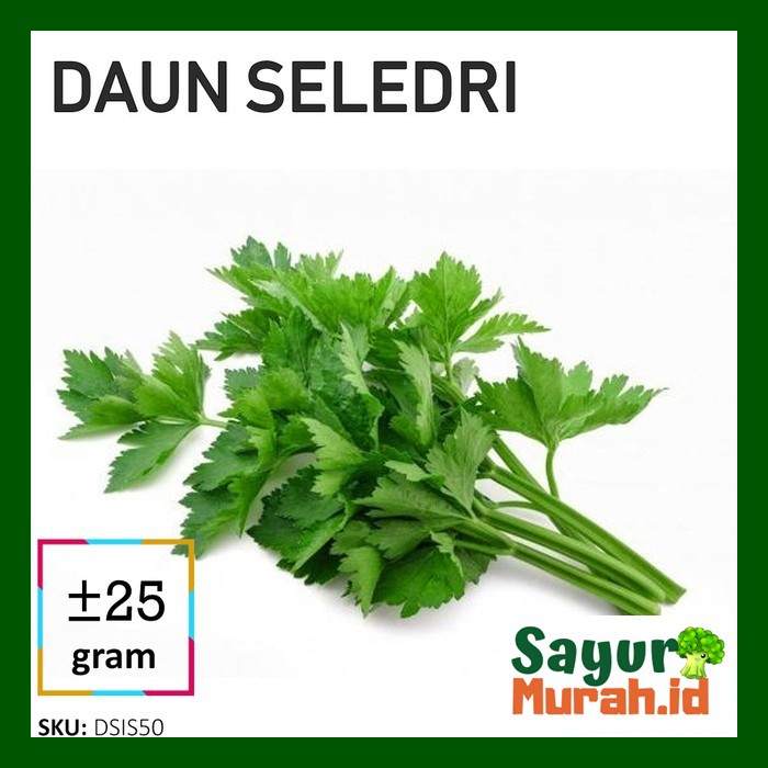 

DAUN SELEDRI SAYUR [25g]