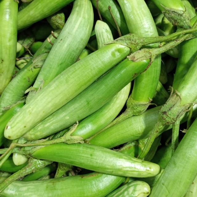 

Terong medan 1kg