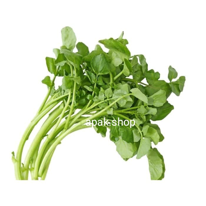 

Sayur Selada Air / Sayur Parit 1 ikat | sayur segar