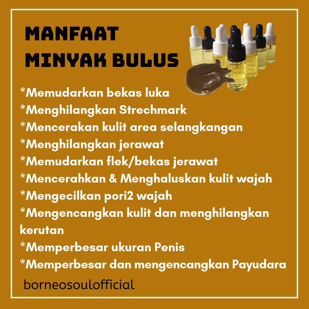 Minyak Bulus Obat Pemutih Selangkangan Penghilang Strechmark Bekas Luka Permanen Original Asli Murah Shopee Indonesia