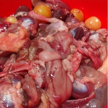 Jeroan Puyuh / quail offal / hati puyuh / jantung puyuh / jeroan burung puyuh 250gr