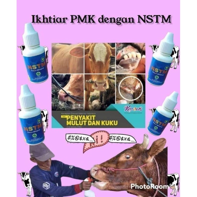 OBAT SAPI PMK NSTM NASA PENYAKIT MULUT DAN KUKU
