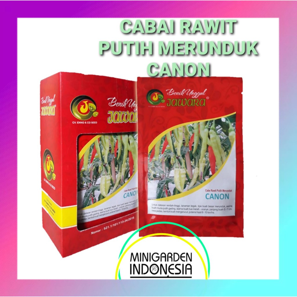 CABAI RAWIT CANON PACK 10 GRAM Benih Cabai Rawit Putih Merunduk CANON Jawara F1 bibit tanaman sayur sayuran cabe ±2300