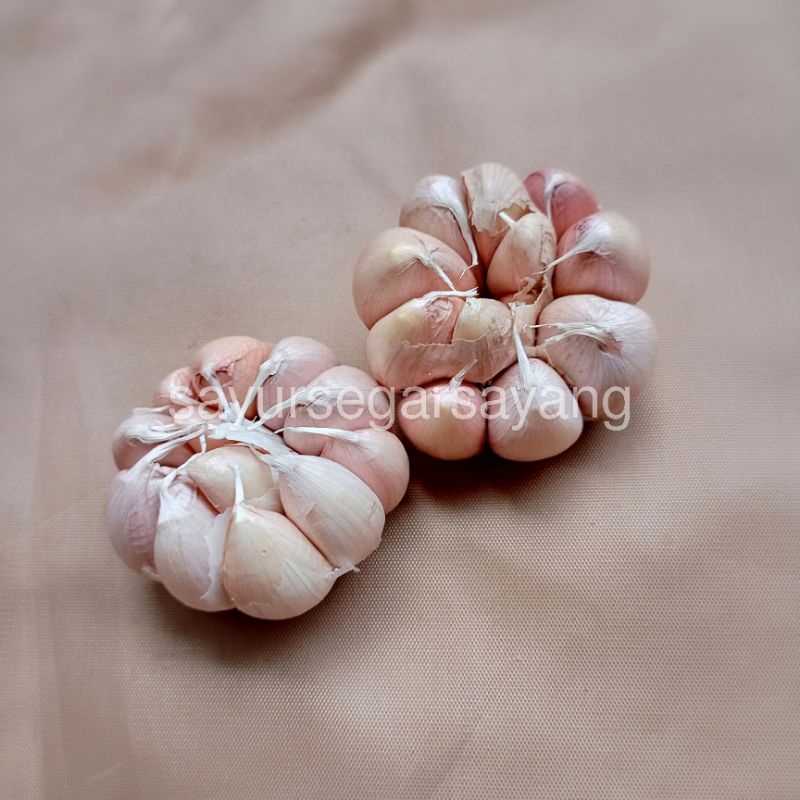 

Bawang Putih Bersih 500gr