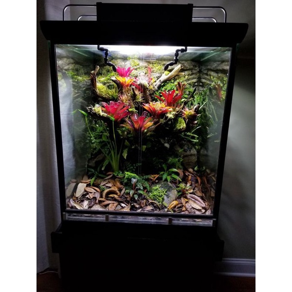 terrarium vivarium paludarium terarium