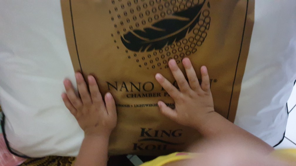 Bantal King Koil Nano Down Chamber