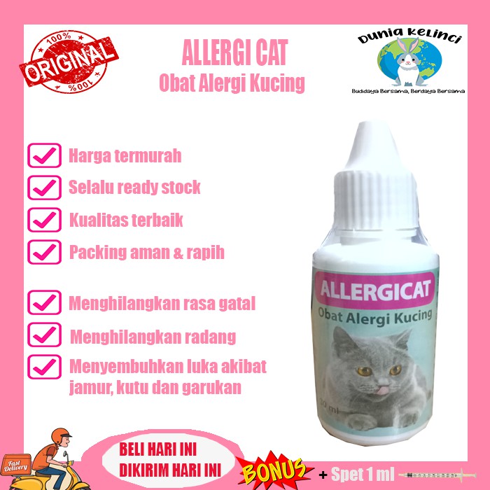 OBAT ALERGI KUCING GATAL KULIT RADANG ALLERGI CAT