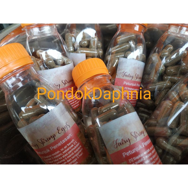 Paket Telur Fairy Shrimp [50 capsules] Artemia Air Tawar