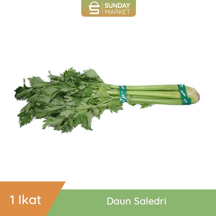 

Daun Saledri 1Ikat | Fresh Setiap Hari