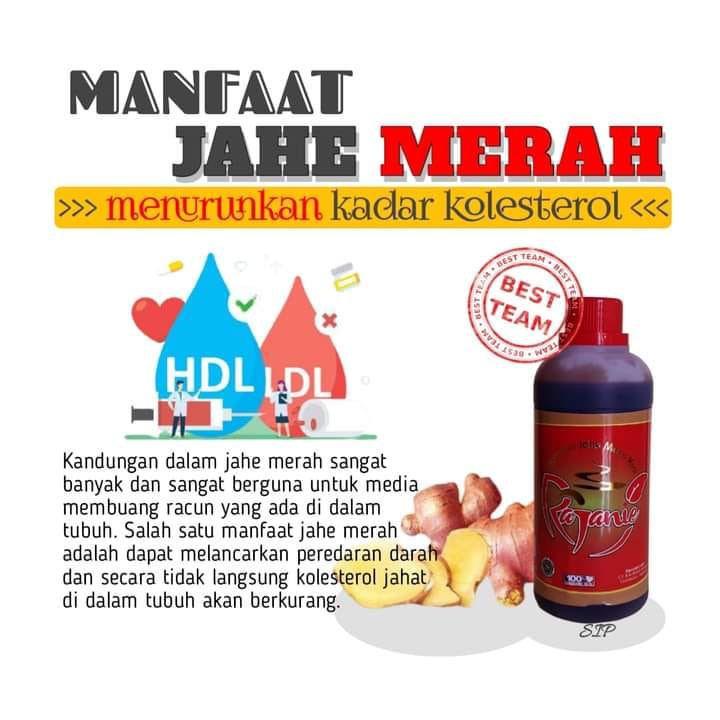

Rajanie jahe merah - RAJANIE JAHE MERAH DLMONIE MURAH BISA UNTUK BUMIL