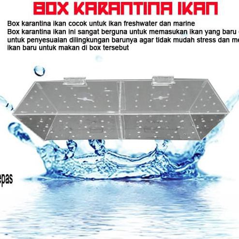 Box Aklimasi Ikan Untuk Ikan Air Tawar Dan Marine