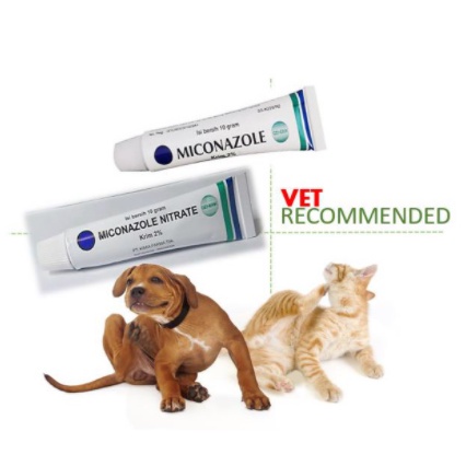 Salep Jamur dan Infeksi kulit Anjing dan kucing/salep Scabies, MICONAZOLE NITRATE 10gr