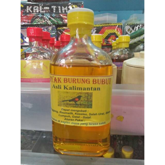 Minyak Burung Bubut Asli Kalimantan Shopee Indonesia