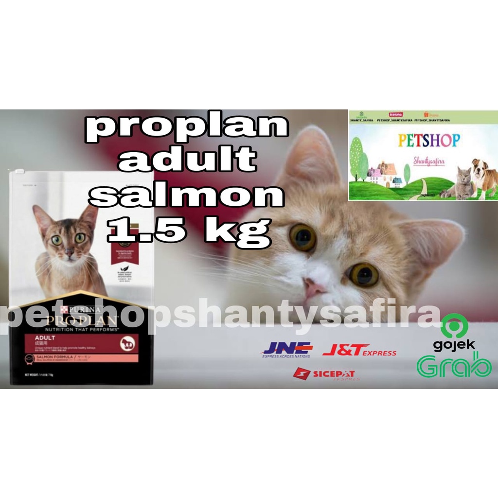 MAKANAN KUCING PROPLAN SALMON 1,5 KG FRESHPACK