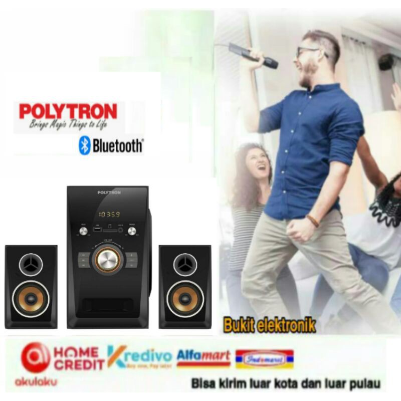 POLYTRON MULTIMEDIA PMA9501 PMA 9501SA/SB