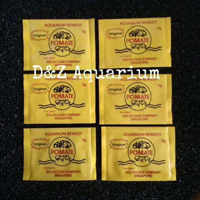 Pomate Asli 5 gr Pomet Obat Ikan Arwana Antibiotik Jamur Pomat Ikan