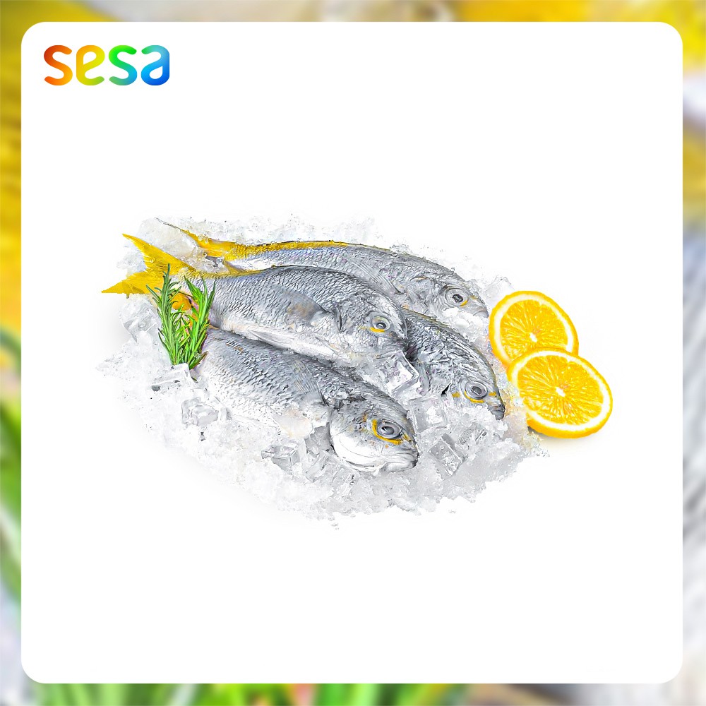 

IKAN EKOR KUNING Beku 0.8-0.9kg - Seafood Frozen