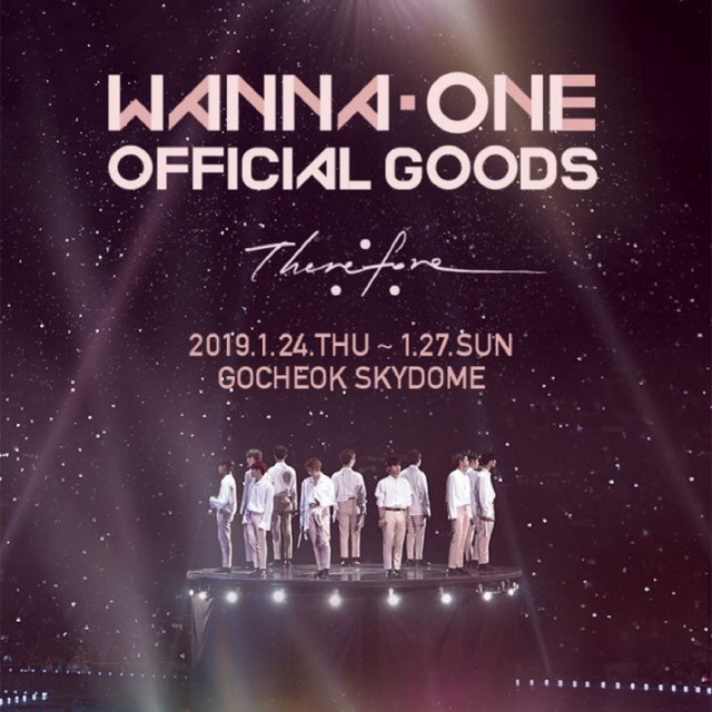 Handcarry Wanna One Official Concert Goods ‘Therefore’l