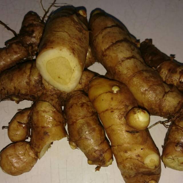 

Temu Putih 1kg