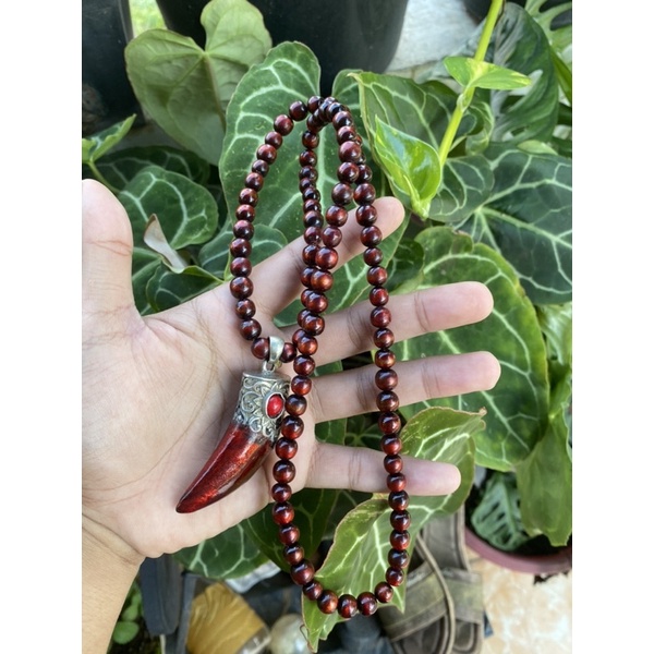 Kalung Tasbih Akar Bahar Merah Delima tembus Cahaya Model Taring