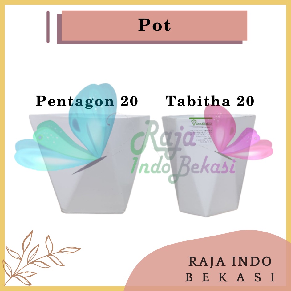 Pot Pentagon 20 Putih Pot Tabitha Diamond 20 25 Putih Pot Bunga Tanaman Tinggi Pot Diamond Tabitha Putih Pink 20 25 30 35 Grosir