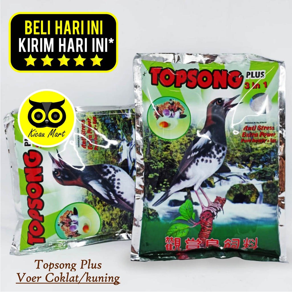 TOPSONG VOER COKLAT TOP SONG KUNING PUR PAKAN MAKANAN BURUNG OCEHAN MURAI KACER POCI BEO HWAMEI TPSCK