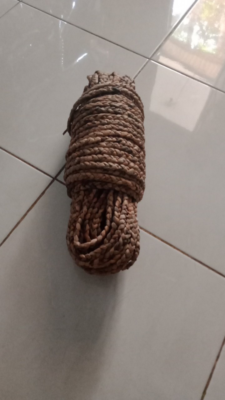 Eceng Gondok 10-13mm/grosir/kg/-+30m