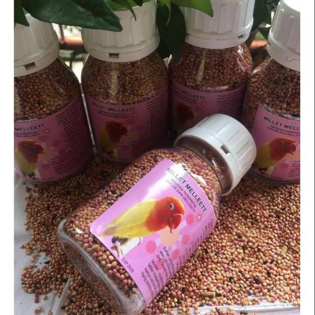 

Millet melet