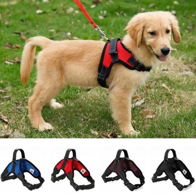 Bayar Ditempat Ta1573 Harness Anjing Type B Harness Anjing