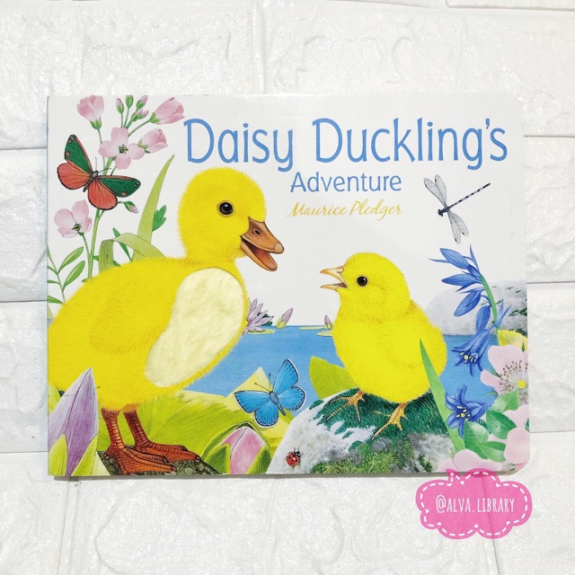 DAISY DUCKLING’S ADVENTURE