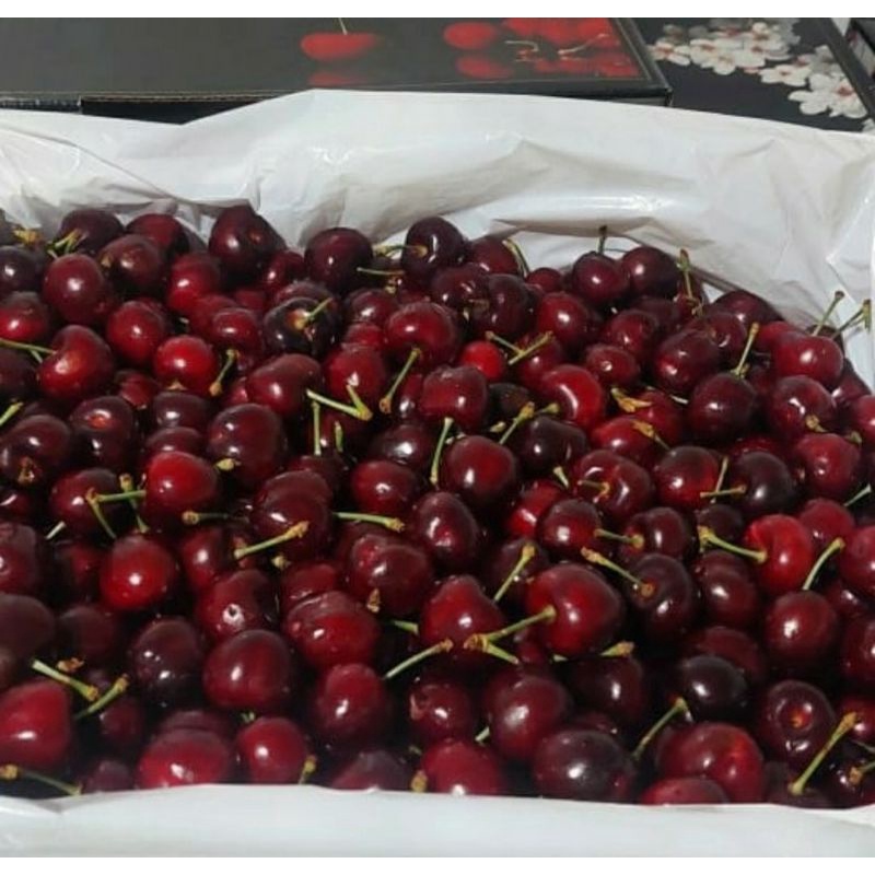 

cherry merah premium USA | buah ceri red | 1 Kg
