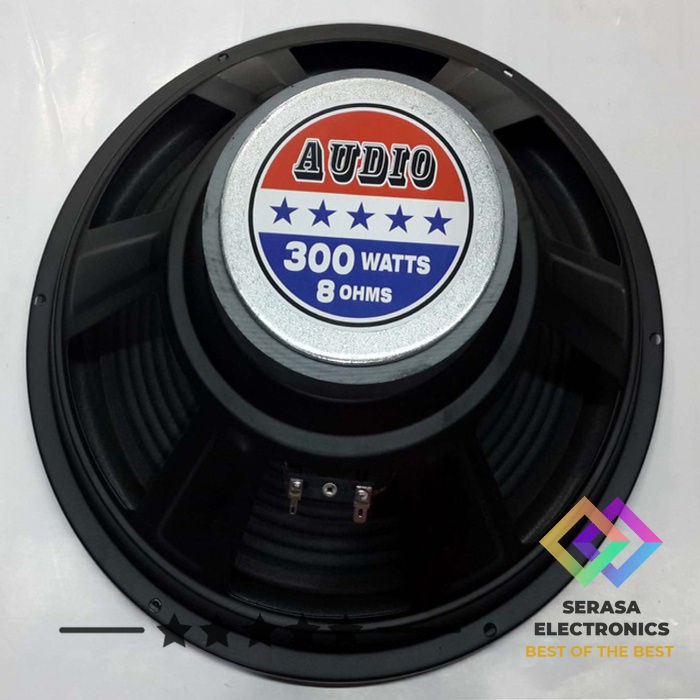 SPEAKER 12 INCH WOOFER AUDIO 300 WATTS 8 OHMS