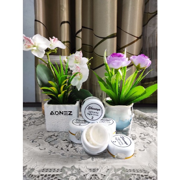 Shanaya night cream