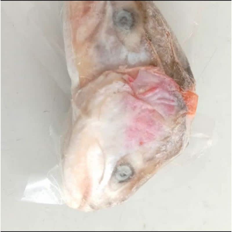 Kepala Ikan Salmon frozen 2pcs 500gram