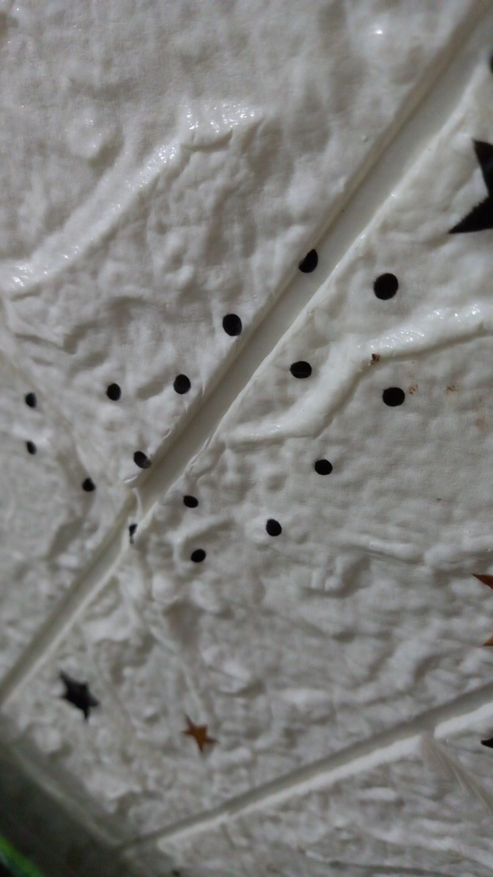 Payung Lipat Polos Dan Karakter Super Murah Meriah - Dikirim Motif Random