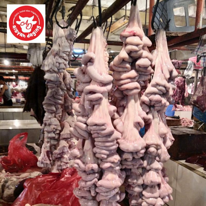 

Usus Sapi 500 gram | Aisyah Daging