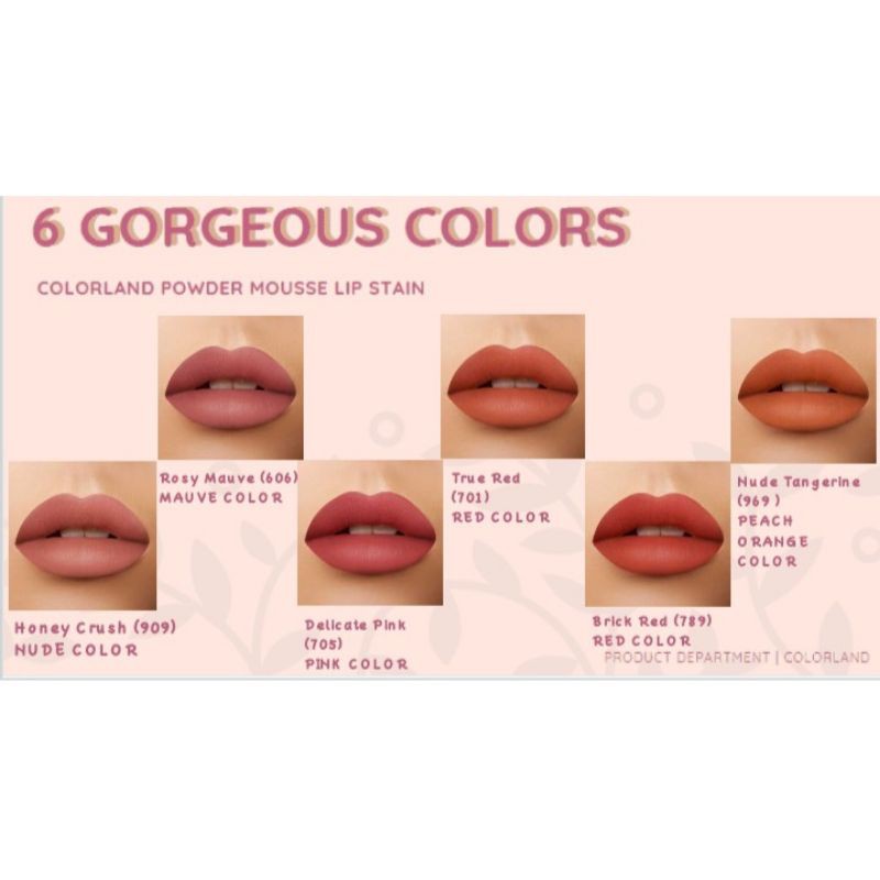 YOU COLORLAND POWDER MOUSSE LIP STAIN