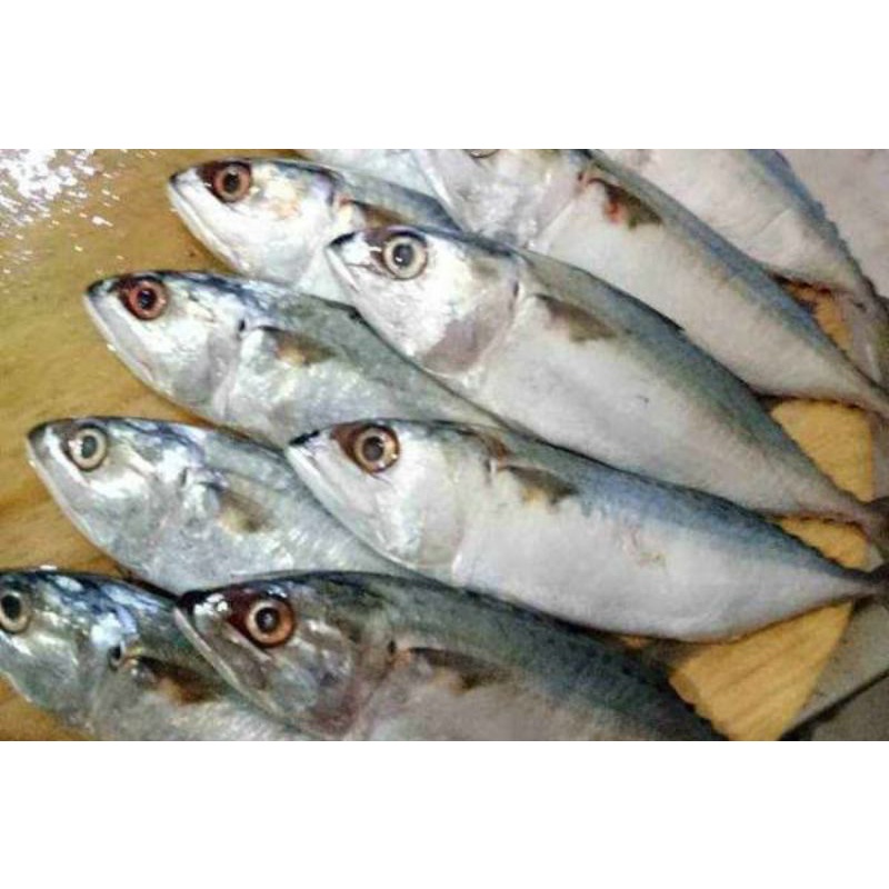 

Ikan kembung kenaren 1kg