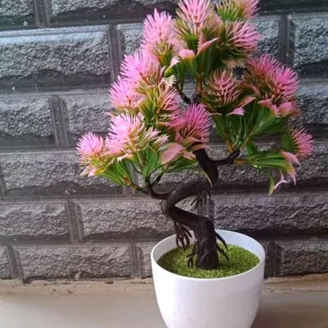 Pot tanaman dan bunga hias dari plastik