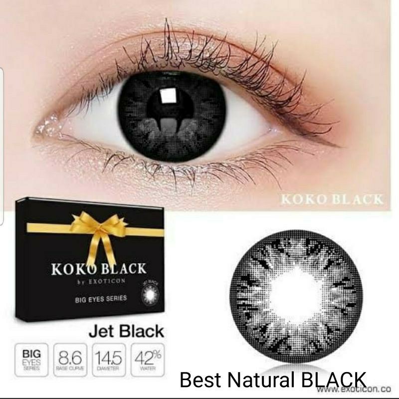 Softlens X2 Koko BLACK Normal Minus s.d -10.00 Made In KOREA softlen kemenkes softlen hitam natural