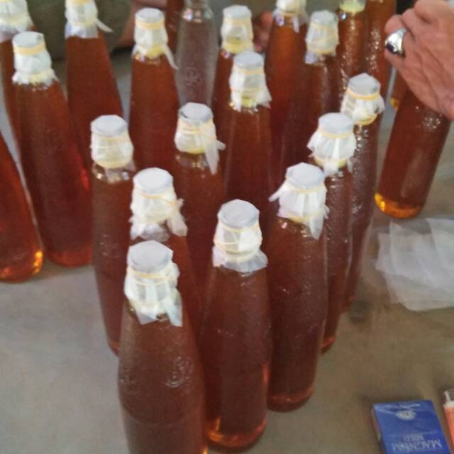 

Madu lebah hutan lampung