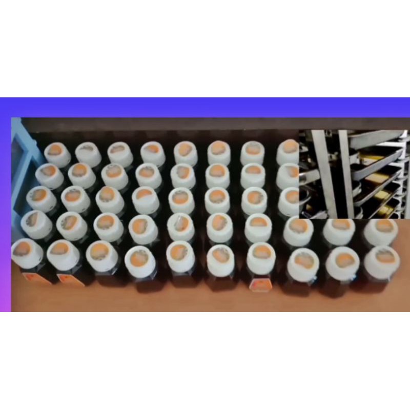 

madu asli Uncak Kapuas hulu ukuran setengah kilo