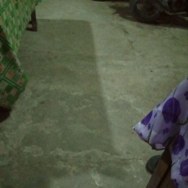 Asifa Batik Hrb026 Kenongo Kemeja Tosca Pendek Pekalongan Padi M L Xl Sogan Tulis Halus Kemeja Batik