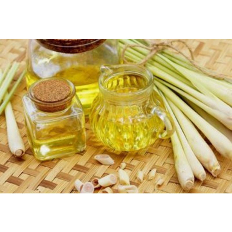 Minyak SEREH WANGI asli 100%