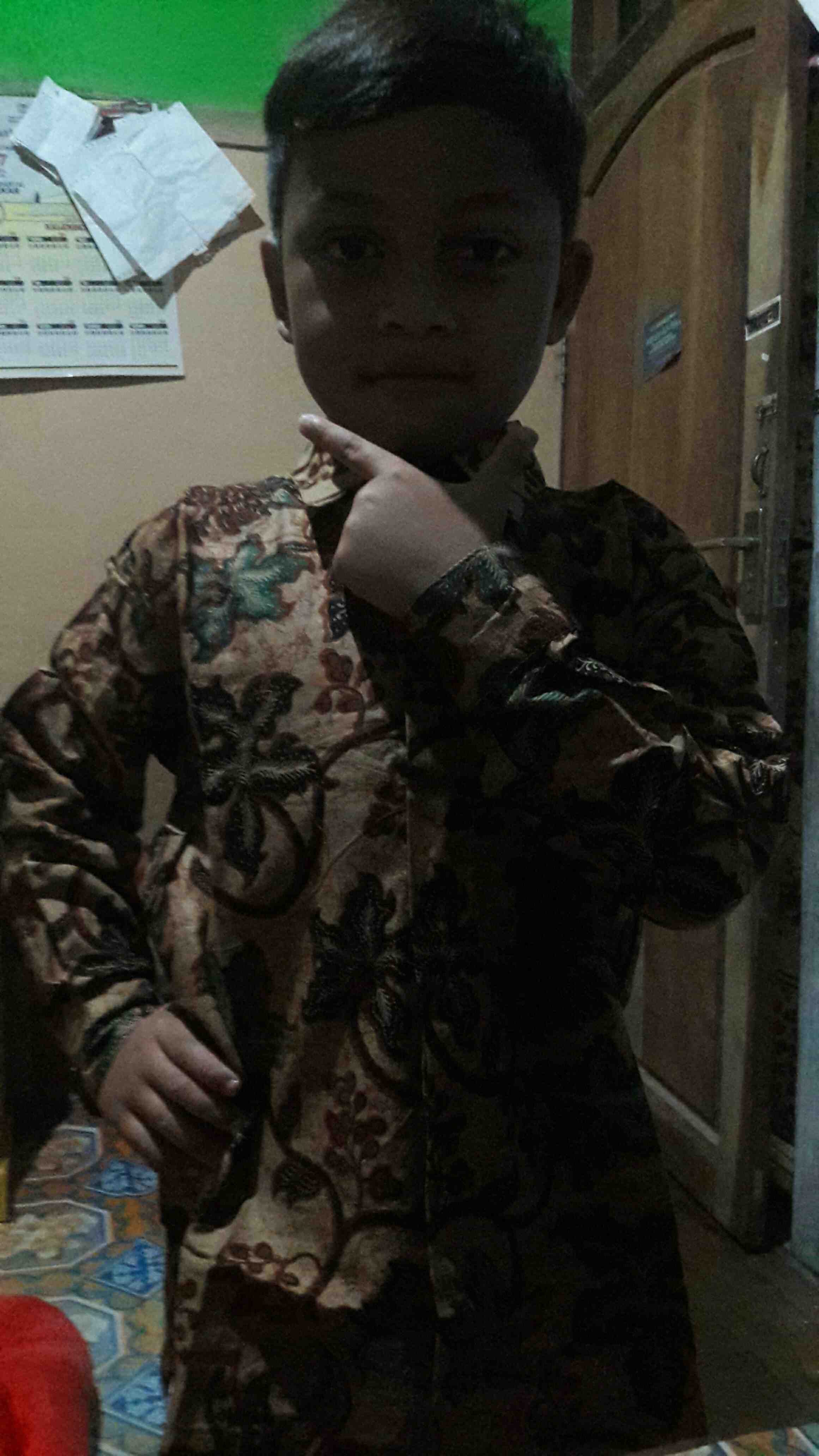 Kemeja Anak Laki-laki Batik Lengan Panjang Pekalongan Usia 2-11 Tahun /kemeja Anak