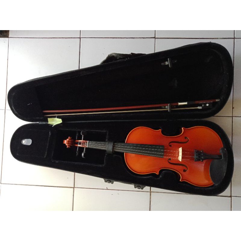 

violinco 4/4 import