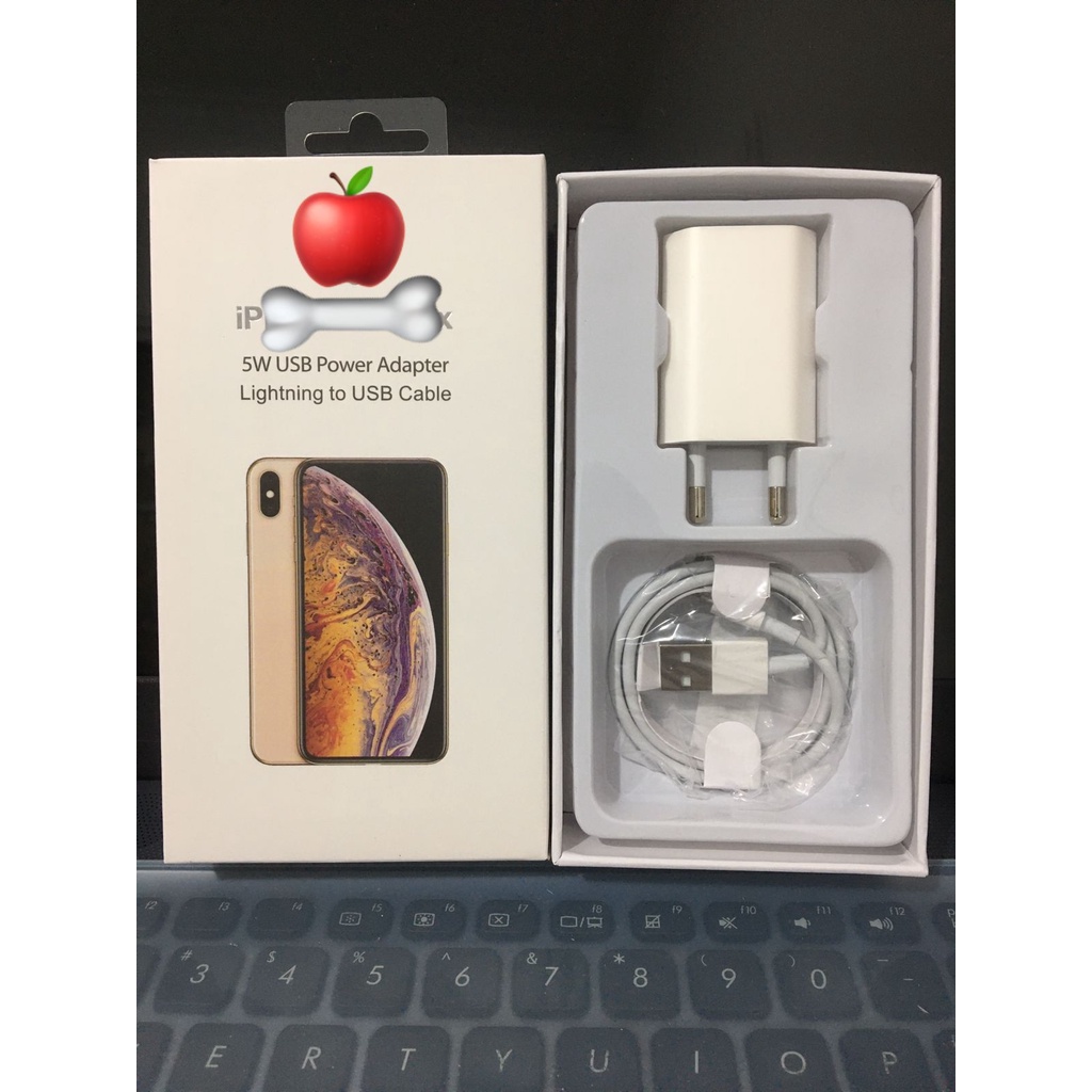 CHARGER 5W FAST CHARGING / CASAN LIGHTNING 5/5s/6/6s/6+/7/7+/8/8+/x/xs//xr/xs max/kompatibel for charger iPhone