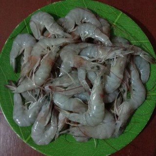 

udang segar 250gr