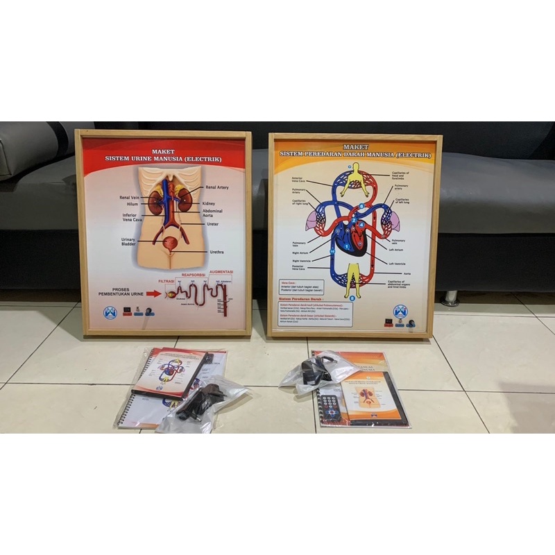 

[PROMO] MAKET/MODEL SISTEM URINE MANUSIA ELECTRIK – ALAT PRAKTIK PEMBELAJARAN IPA BIOLOGI