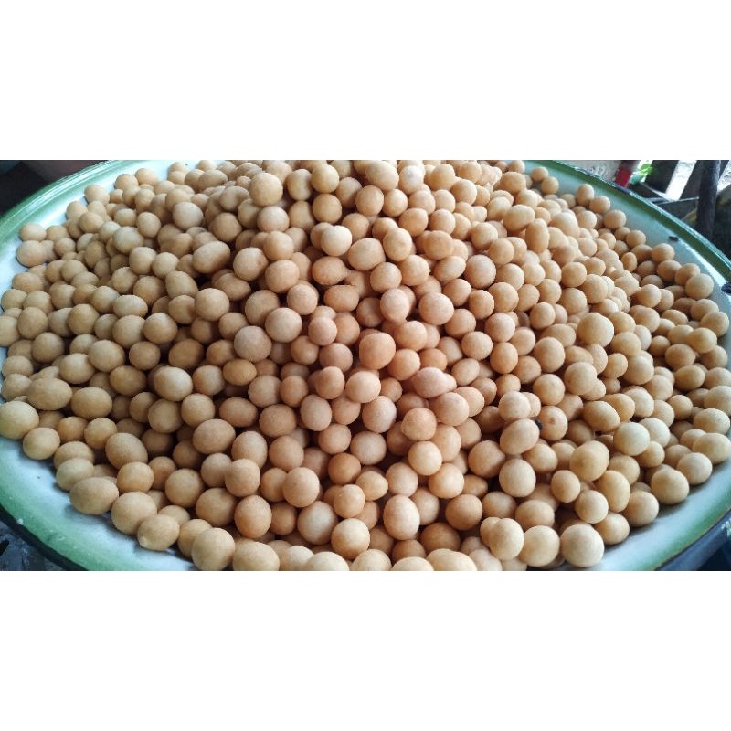 

Kacang telur